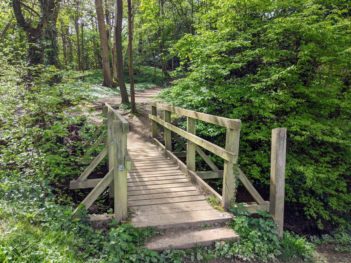 HertsWalker's tweet image. NEW! Walk 259: Tewin South Loop (2.8 miles - 4.5 km) Free directions, maps, photographs and GPX navigation. #Hertfordshire #walking #freewalks #HertfordshireWalks #countryside hertfordshirewalker.uk/2024/04/walk-2…