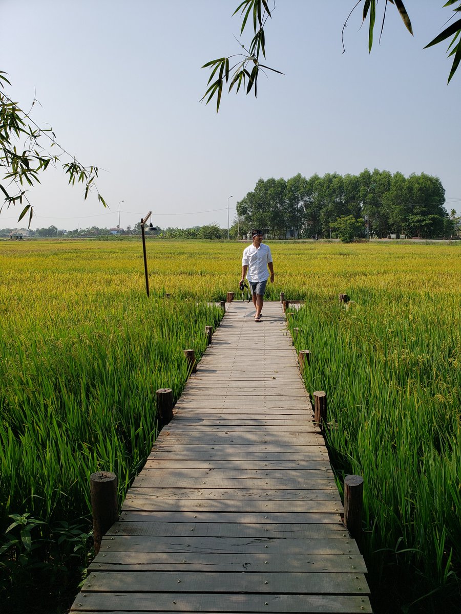 In another life

I may have worked these paddies

This would have been home

#haiku