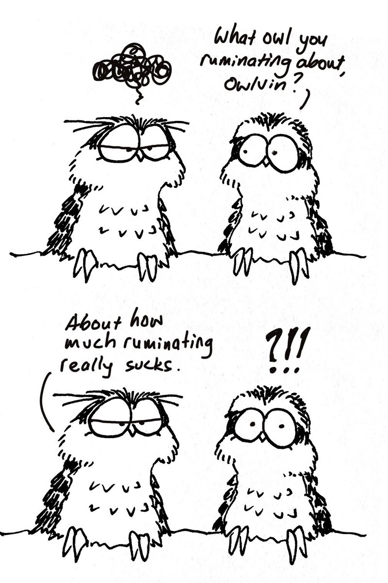 Rumination prolongs distress and takes up unnecessary time. Despite that, owl still be ruminating.