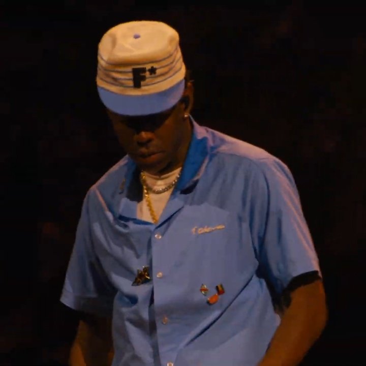 tyler the creator with the palestine and congo pin, i love you man