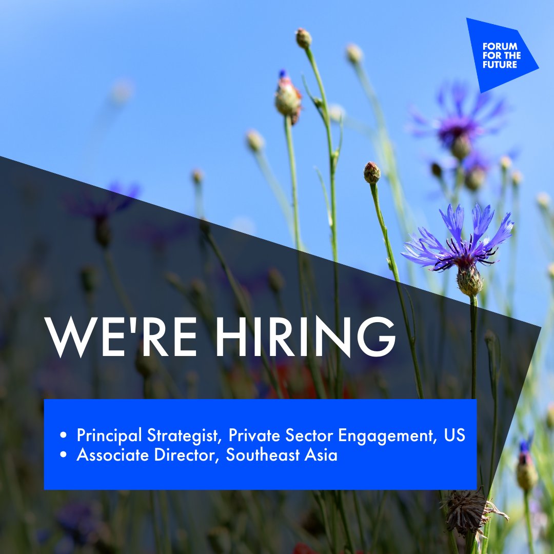 #NowHiring Principal Strategist, Private Sector Engagement Location: USA/EST Apply by midnight TODAY (14 April): ow.ly/WhCg50RcZ6H Associate Director, Southeast Asia Location: Singapore Apply by 2 May: ow.ly/4epH50RcZ7T