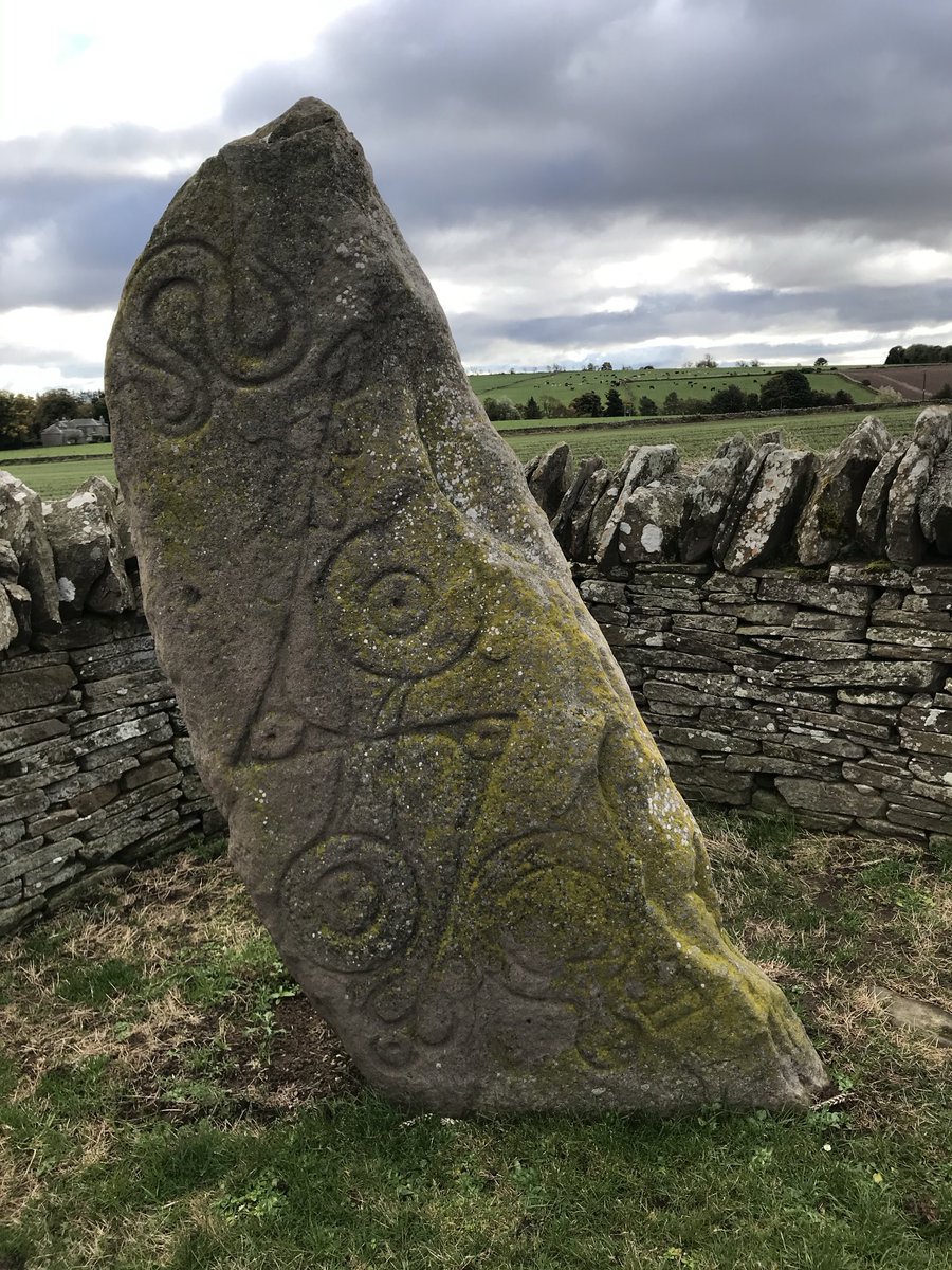 Classic serpents from Aberlemno for #standingstoneSunday