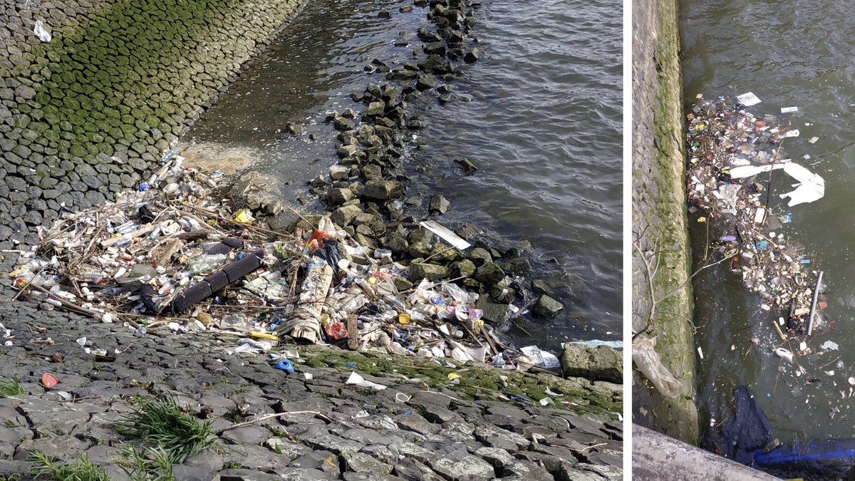 Dit is de Maashaven (dit weekend) met afval dat is gemorst bij de overslag van vuilniswagen op vuilnisboot. 
Zwerfie heeft afgelopen dinsdag al aan @AVRenergy gevraagd om het nu een keertje zélf op te ruimen. Geen reactie. :-(
#zwerfie #plasticsoep #marinelitter #rotterdam