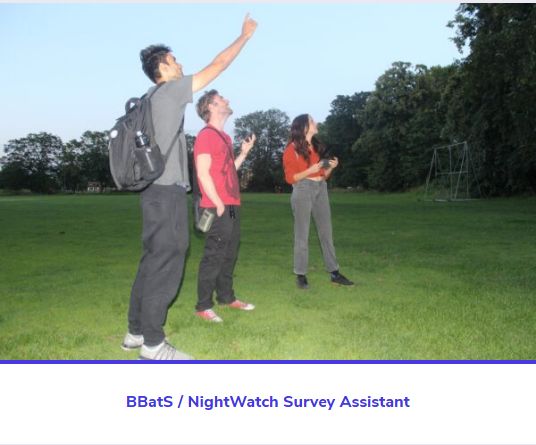 New #vacancy: @_BCT_ is recruiting a Survey Assistant for the British Bat Survey and NightWatch projects! This is a fixed-term (6 months), part-time contract (24h/week). Deadline is TOMORROW: 2pm 15 April. buff.ly/3vHDRPV