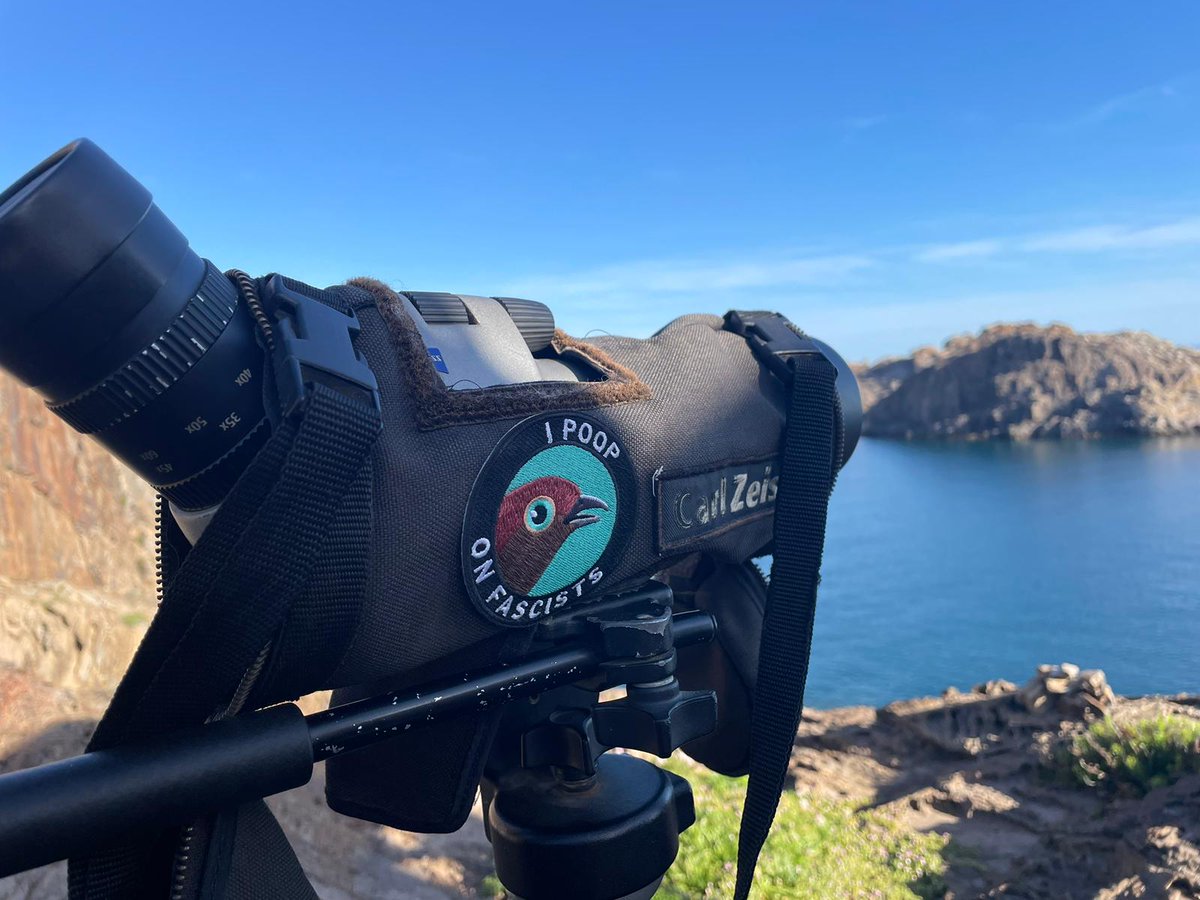 Qui estima la vida odia el feixisme.