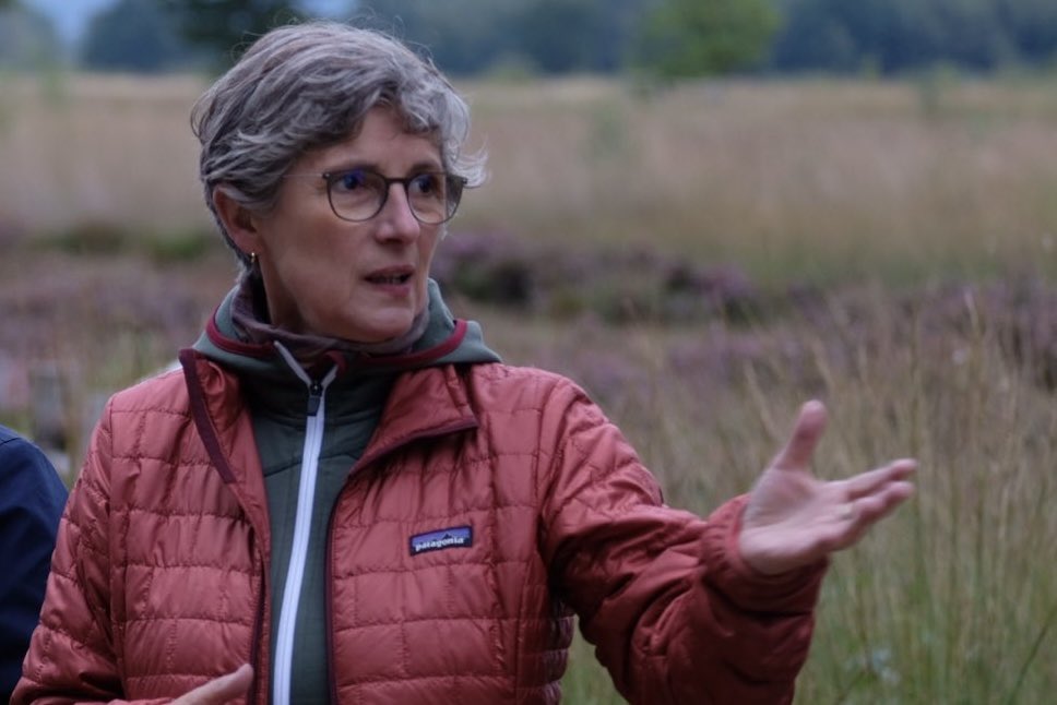 Britta Haßelmann tweet media