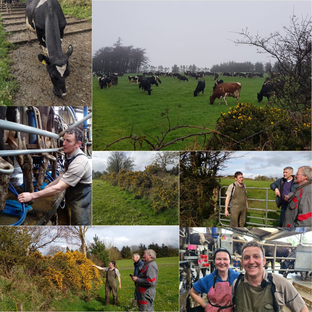 This wk we visited the dairy farm of Bryan & Gail Daniels from Kilkenny who are 2024 Farming for Nature Ambassador nominees. Highlights: 🍃Owl & Bat Boxes 🍃Hedge laying 🍃Red & white 🍀, 50%⬇️in synthetic nitrogen 🍃Protecting rivers 🍃Soy free dairy nuts bit.ly/4aWn5M3