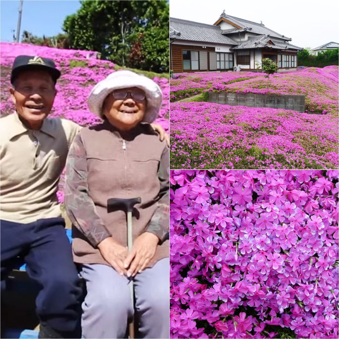 This husband spent two years creating a garden filled with fragrant flowers for his wife who lost her vision due to diabetes.