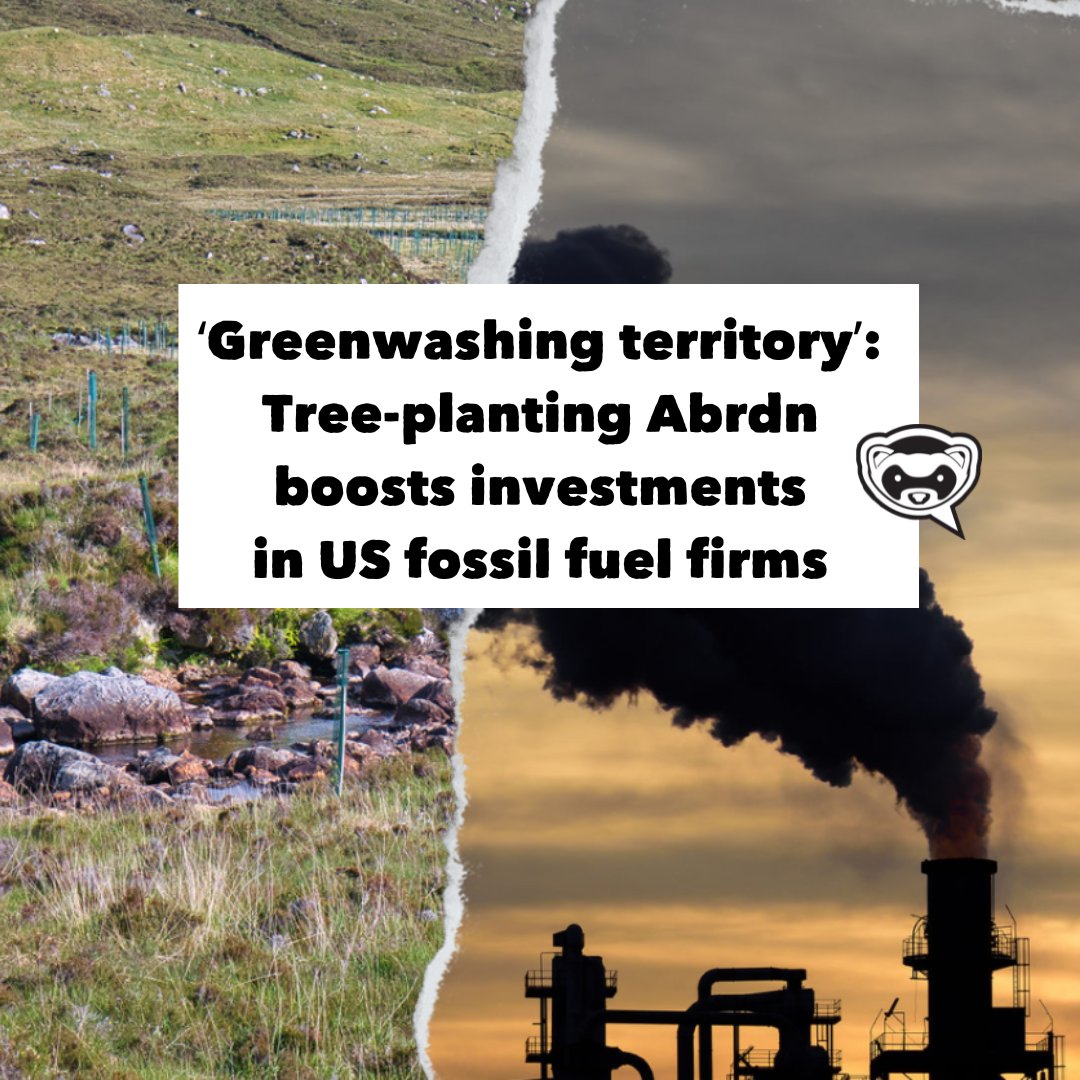 🔴 NEW: A Scottish investment giant upped its shares in a host of US fossil fuel firms last year, while also claiming millions of taxpayer money for a carbon offsetting scheme to plant trees in the Highlands. Find out more: bit.ly/43Yyg4j?utm_so…