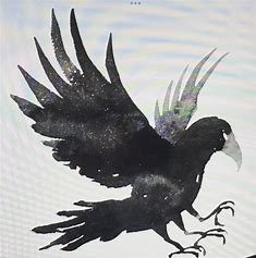 ChikatsuHayashi's tweet photo. ６月１４日金曜日の昼間、何かが起こるかもしれないし、起こらないかもしれない。 https://t.co/HtWesh3aZy