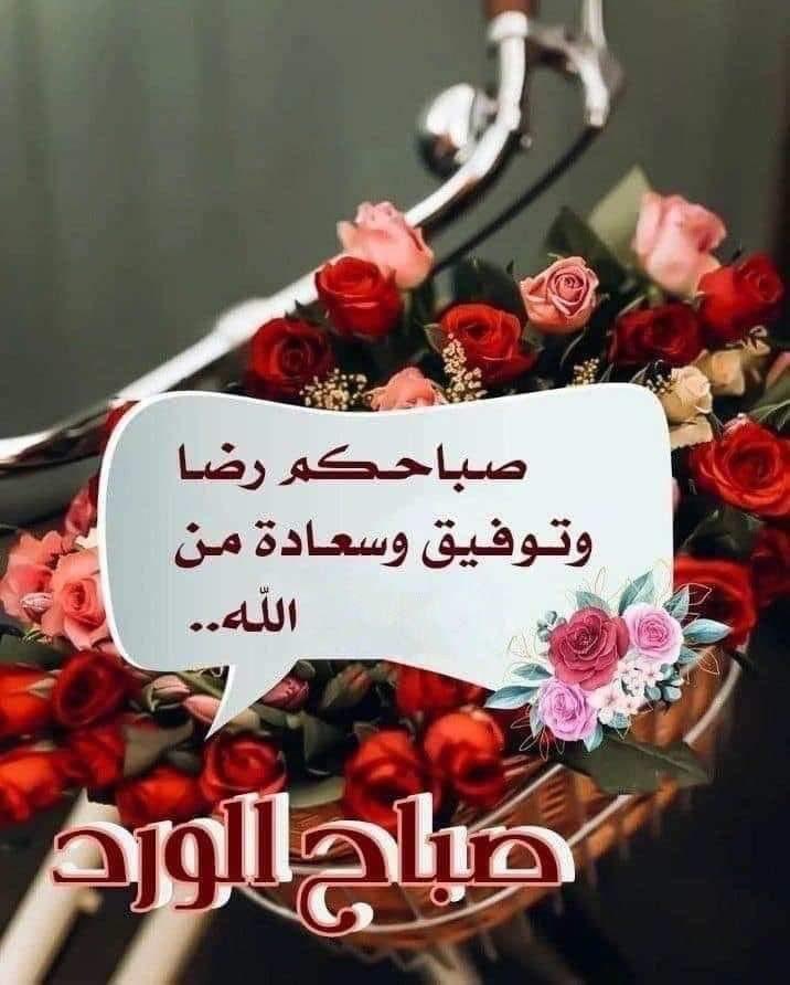 @mmdlmwld3 @ouicherfm @LtyffhMa @WazFr62868 @noorali20257 @hosnyabone3ma @hamedomaribrah3 @gulistanm129 @manal2015only @muna_daboubi @yupv3N4b3UYJWDt @almasah_03 @ctMOcDkdOK5umjM @hardman198067