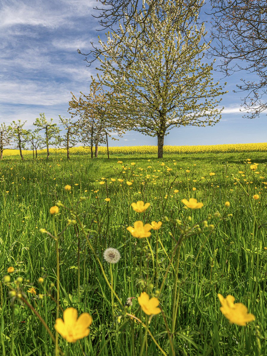 Paysages du Nord de l’Alsace.