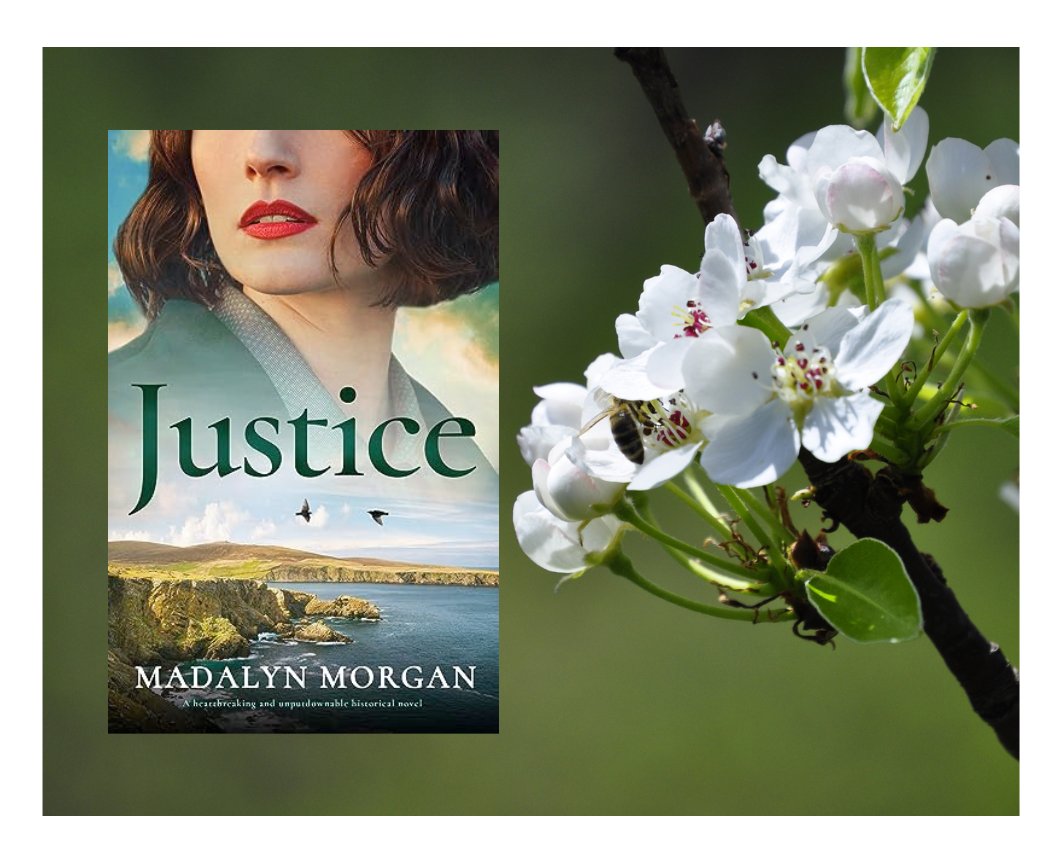 Justice by Madalyn Morgan @Stormbooks_co #Shetland #MI5 #Revenge #spy #thriller #HistoricalFiction “Excellent pacing, a brilliant story, superb characters, wonderful evocation of the period. A great crime mystery. Brilliant!” Michael Jecks. Justice @: geni.us/269-al-aut-ch