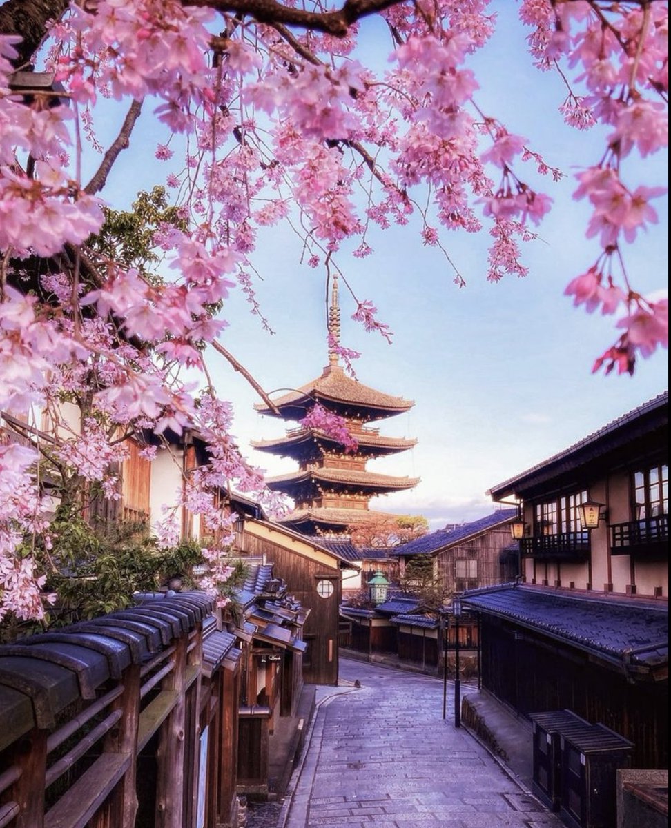 Kyoto, Japan 🌸 📸 @macchan358 #kyoto #japan #spring #photography #naturelovers #travel #destinations #scenery #X #architecture