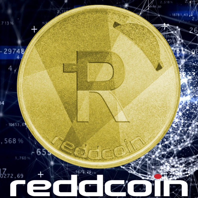 Donkey Coin tweet media