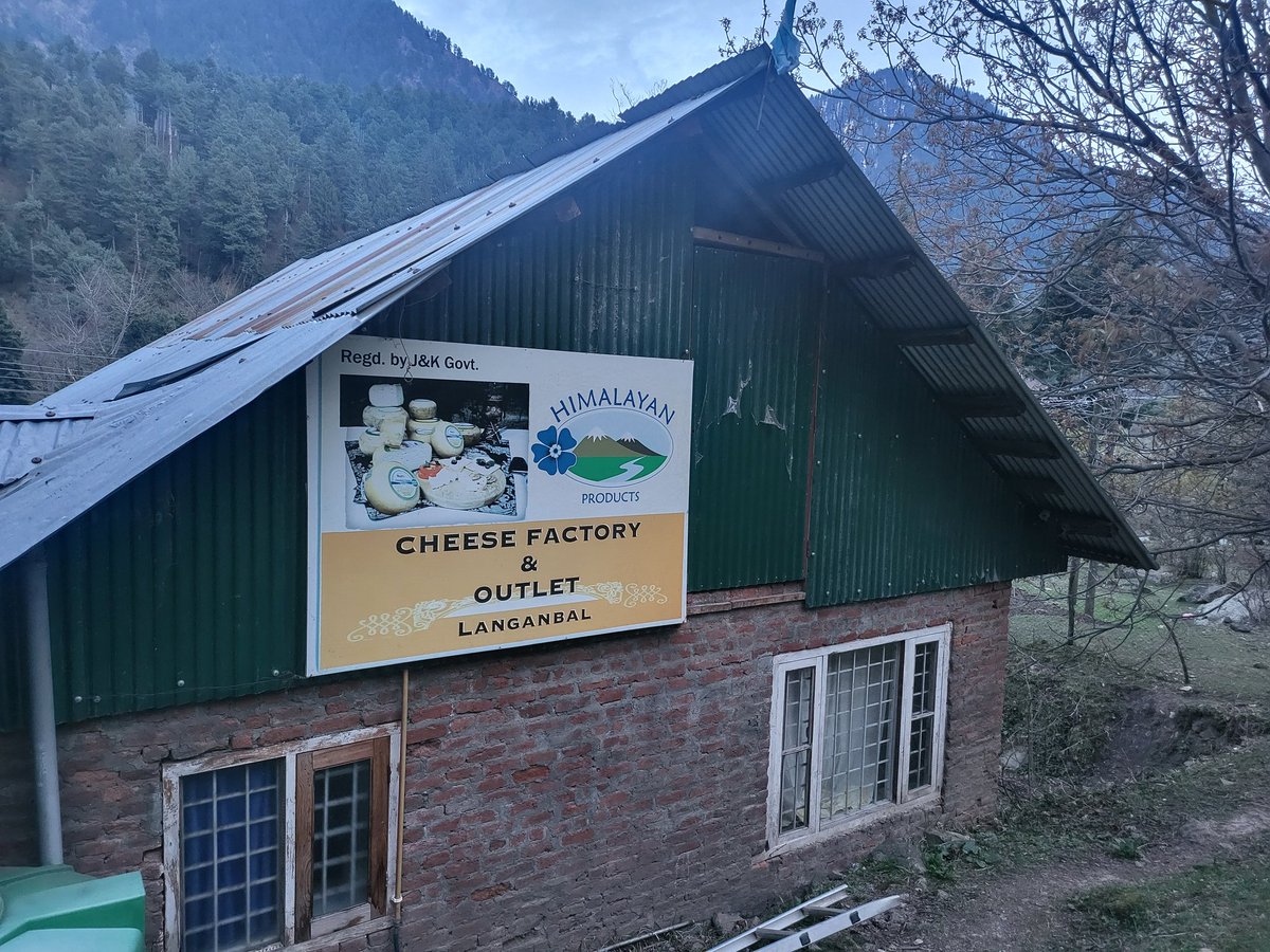 'Cheese' Badi Hai Mast Mast!
My bad luck as I couldn't meet Chris, a Dutch entrepreneur who has collaborated with local dairy farmers & set up a modest-looking Himalayan Cheese Factory at Langanbal, near Pahalgam. 
Kalari, local Mozzarella, is their speciality. Google.