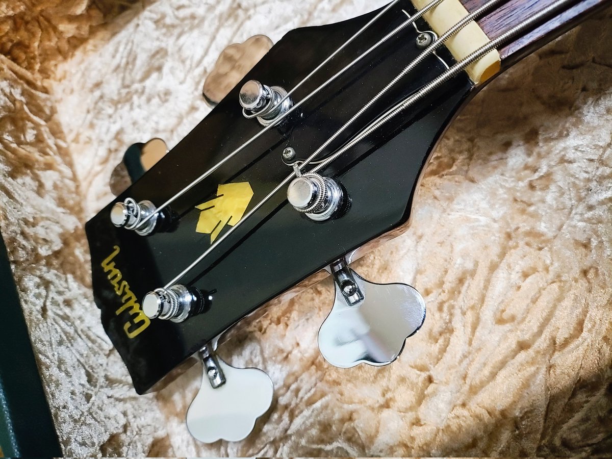 うっかりベース買ってしまった〜
使い道はあまりないけど弾いてて楽しい音だ