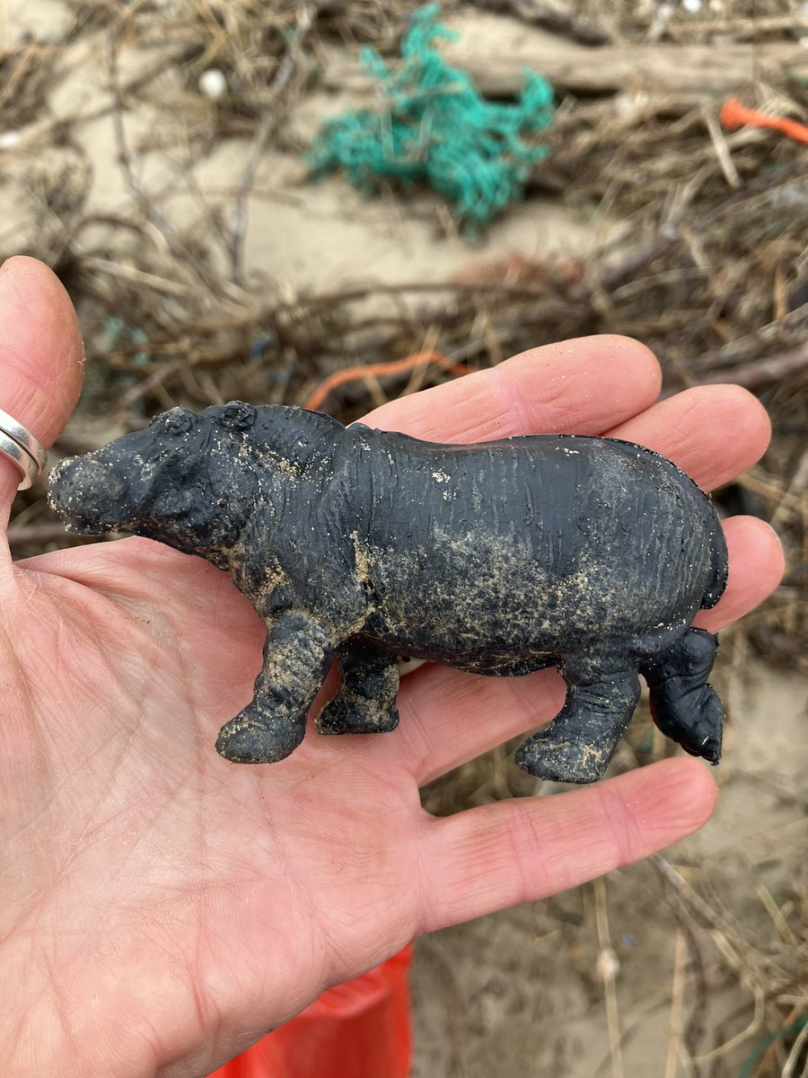 Yesterday’s beach clean was definitely the gift that kept on giving - treasure included: 6 pieces of Lego A bottle w/vulcanite stopper stamped ‘War Grade’ 40 Smartie lids A message in a bottle identical to one we found 6 months ago, from the same person A hippo, rhino & more!