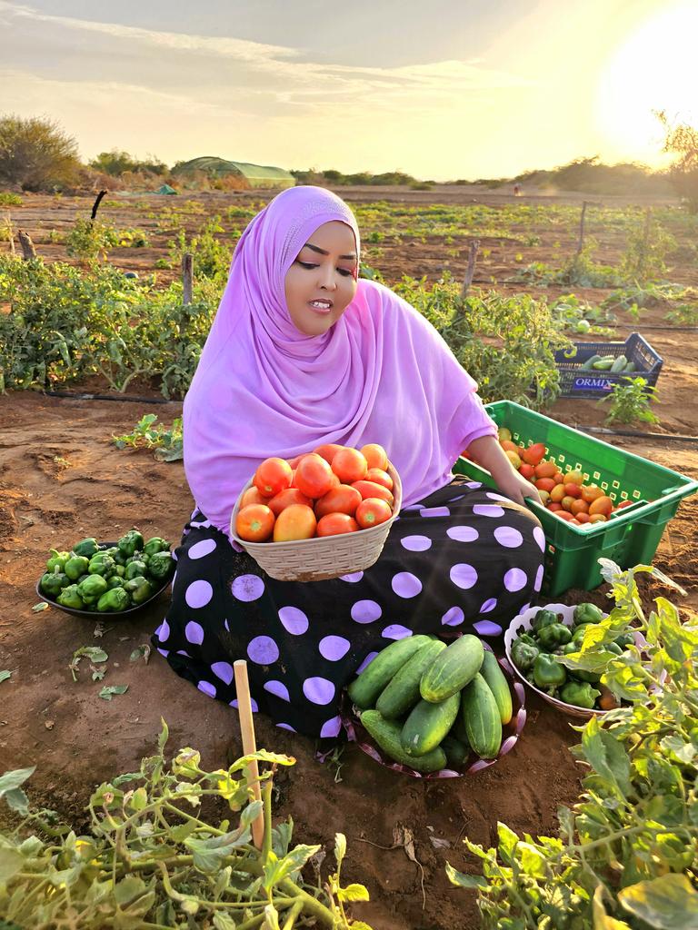 Immense gratitude for the incredible support shown on my recent tweet. I'm Fahima, a farmer, AgriInfluencer, &   gender activist in #Djibouti. 
Thrilled to share the beauty of #food and #farming! With each post, I aim to inspire and uplift, advocating for more diverse voices in…