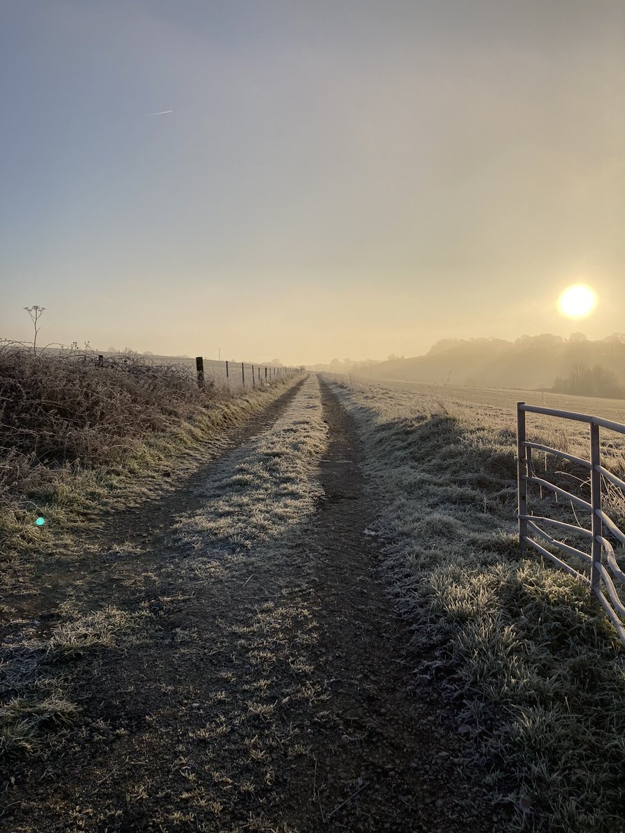 Good Morning 🕊🕊
🇬🇧 weather looking dry .

“If you truly love nature, 
you will find beauty everywhere.' 
Laura Ingalls Wilder.

#NatureHeals