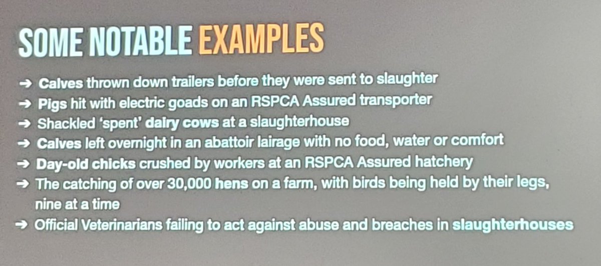 mizla_m's tweet image. Undercover investigation by #AnimalJusticeProject/ @ajpReact was really sad to hear about but not surprising to most of the attendees. Wonder if non-vegans know much about the cruelty that happens in #AnimalAgriculture. Please stop funding this! 🥺 #varcuk #vegan