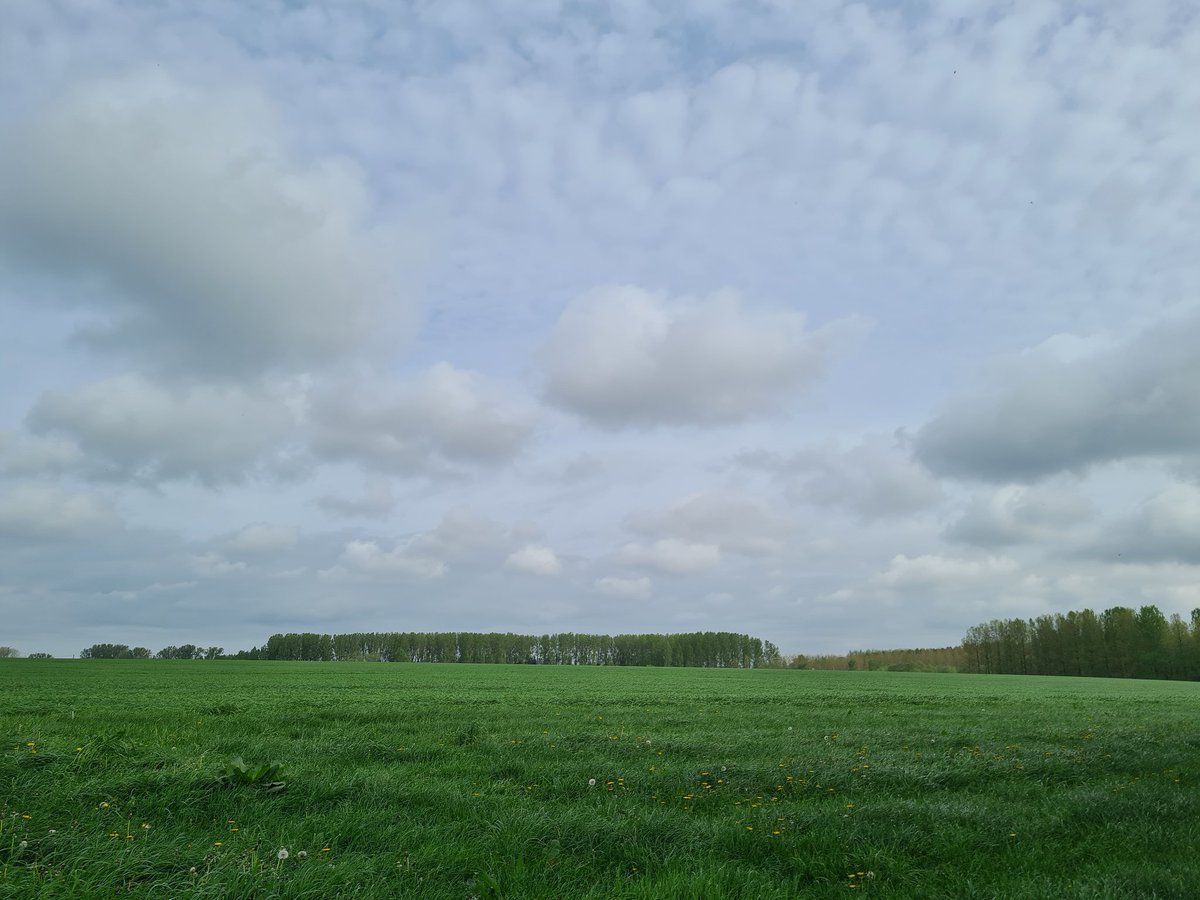 De zon breekt door de wolken - 10:25 Locatie: Pepingen Naam: Joris Dewolf #vrtweer