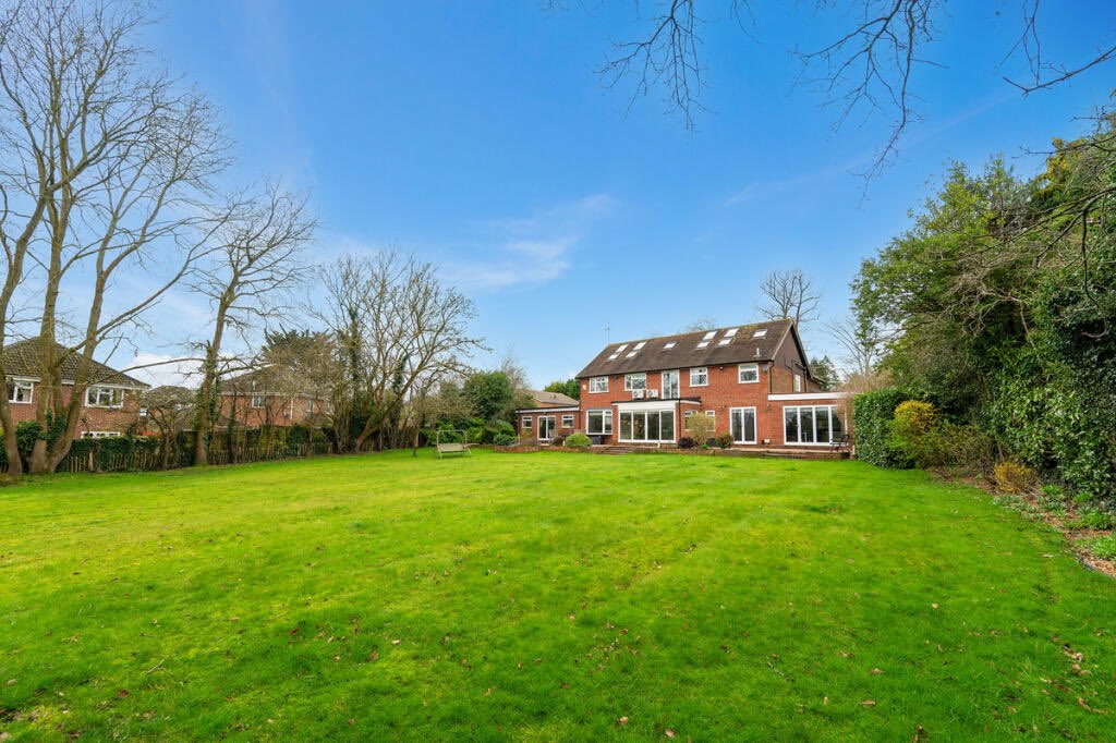 Damion Merry tweet media