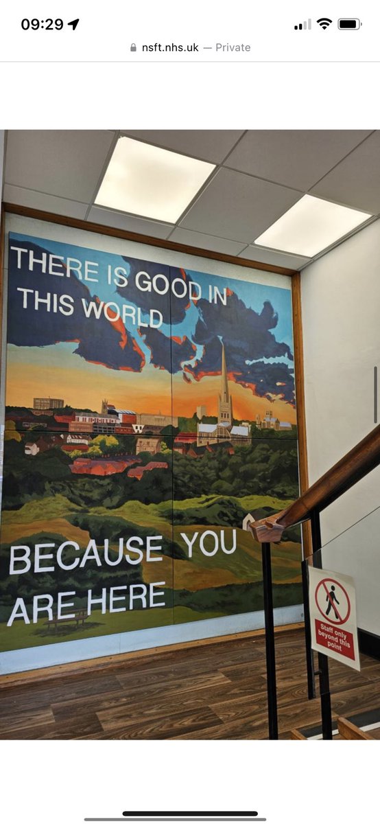 nsft.nhs.uk/news/artwork-i… Amazing piece of work! It’s a shame not more care has been put into the placement. It’s the only wall that’s purely staff access -their grand entrance coming down the stairs. When sitting in that intimidating space, there should be work on the SU level😩