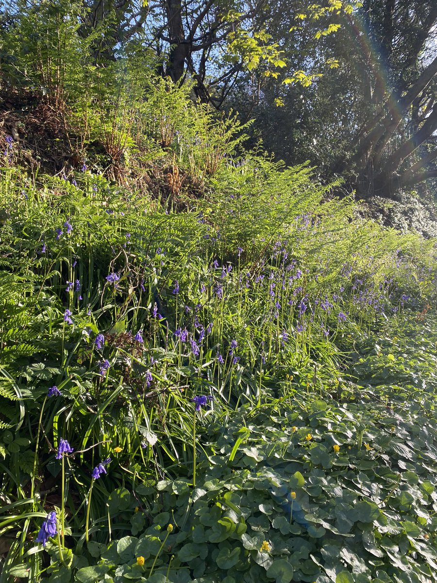 hanshare's tweet photo. Had one of my favourite walks around Consti this morning, and sat by the sea soaking up the sun ☀️🌱🐟🪺🌊

#AberLife #Aberystwyth https://t.co/rysqZbcmQn