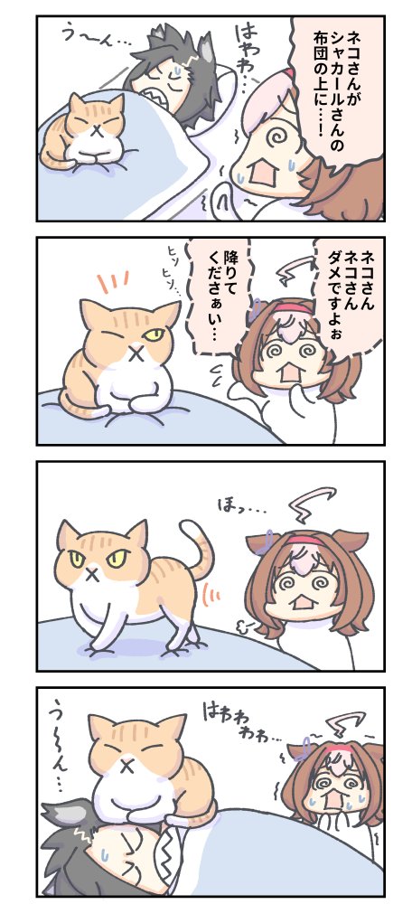 猫に注意するメイショウドトウ。