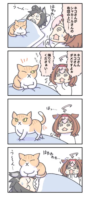 猫に注意するメイショウドトウ。 