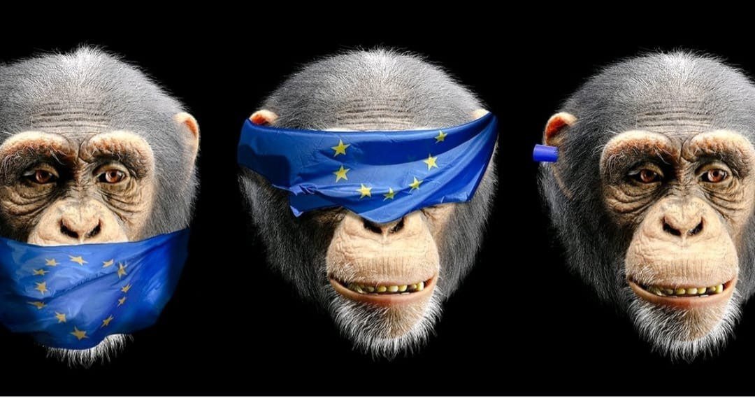 When it comes to Israels Mass killing of tens of thousands of innocent civilians in Palestine or the illegal imprisonment of Julian Assange, the corrupt beurocracy of the EU is gutless, silent and weak. 

When it comes to condemning Russian, China, and Iran, it can't be silenced.