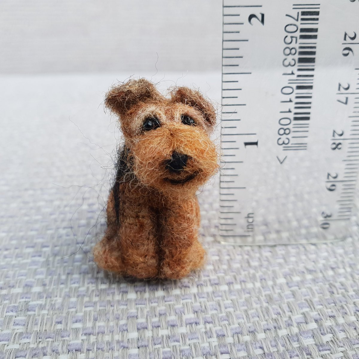 Good morning! Made a sweet miniature felted Airedale Terrier named Bean! She is ready to be adopted. Isn’t she just the cutest? Thank you ❤️ therockingfelter.etsy.com/uk/listing/169… #etsy #airedale #dogsofx #ukgiftam #firsttmaster