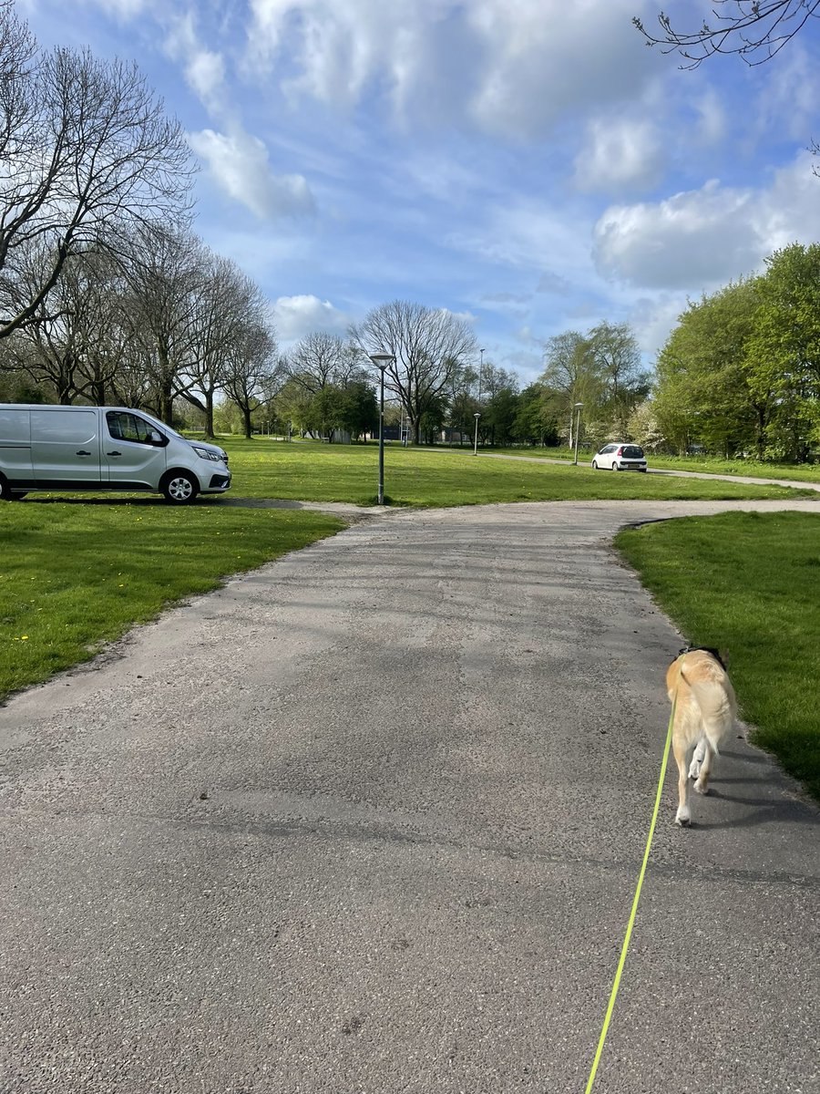 eliizex's tweet photo. @Gemeente_Lwd @POL_Leeuwarden dan controleren jullie nu wel hondeneigenaren of ze hun hond vast hebben en zich kunnen legitimeren, maar aan de auto’s hier doen jullie niets?! Dit is toch absurd https://t.co/B2wtjQwlvA