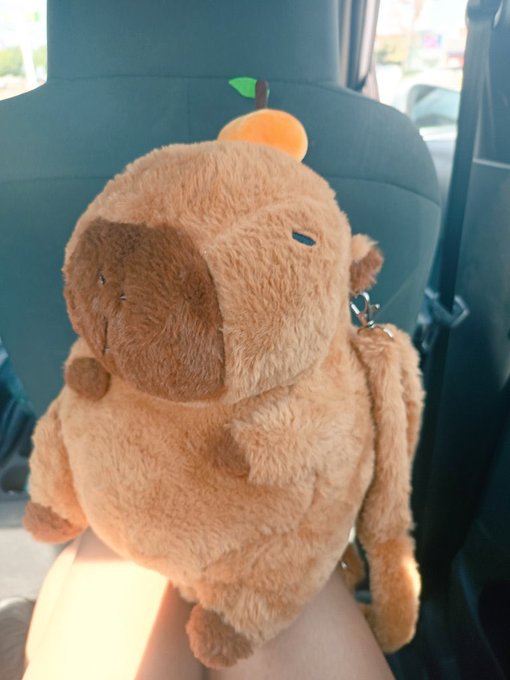 Antier le compr&eacute; este regalito a mi novia, ella lo vi&oacute; primero y le gust&oacute; mucho pero no estaba segura<a href="/tag/lgbt"class="tags"><span>#lgbt</span></a><a href="/tag/relationshipadvice"class="tags"><span>#relationshipadvice</span></a><a href="/tag/capibara"class="tags"><span>#capibara</span></a>