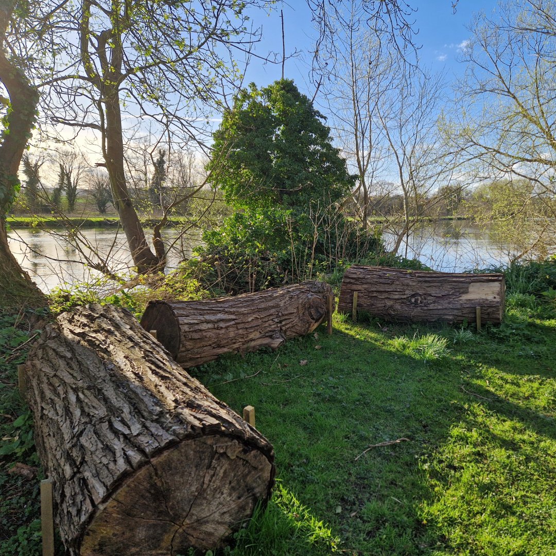Withymead Nature Reserve tweet media