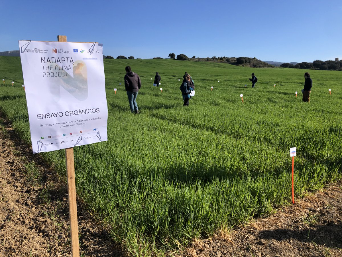 lifeclinmed's tweet photo. Fantastic LIFE Platform Meeting on Soils. Congratulations and many thanks to the organisers 🌱
@lifeprogramme @LIFE_NAdapta_CC @urbanklima2050 @cinea_eu #ELMEN
@lifeclinmed @CITAAragon https://t.co/9gMHkY2mTP