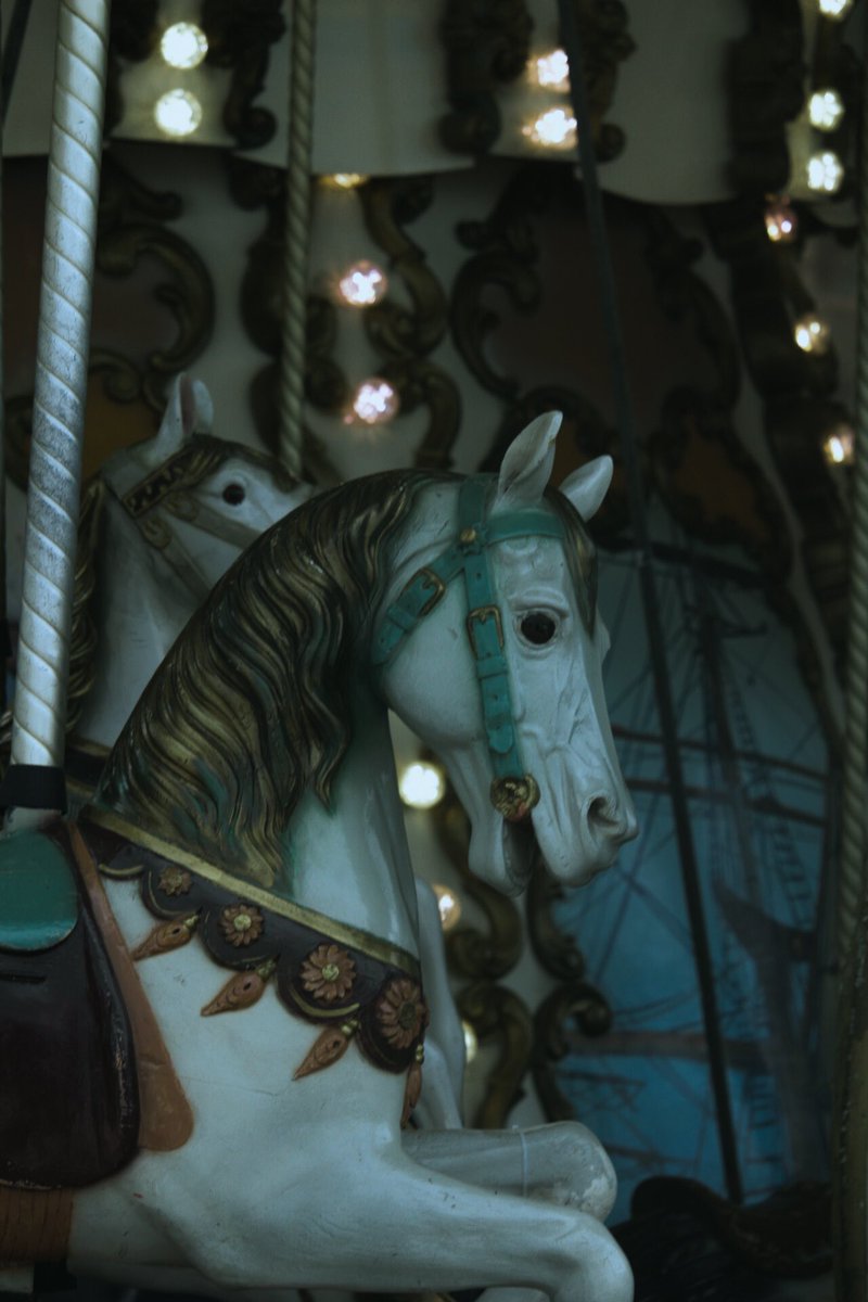 Eli 🌝 tweet media