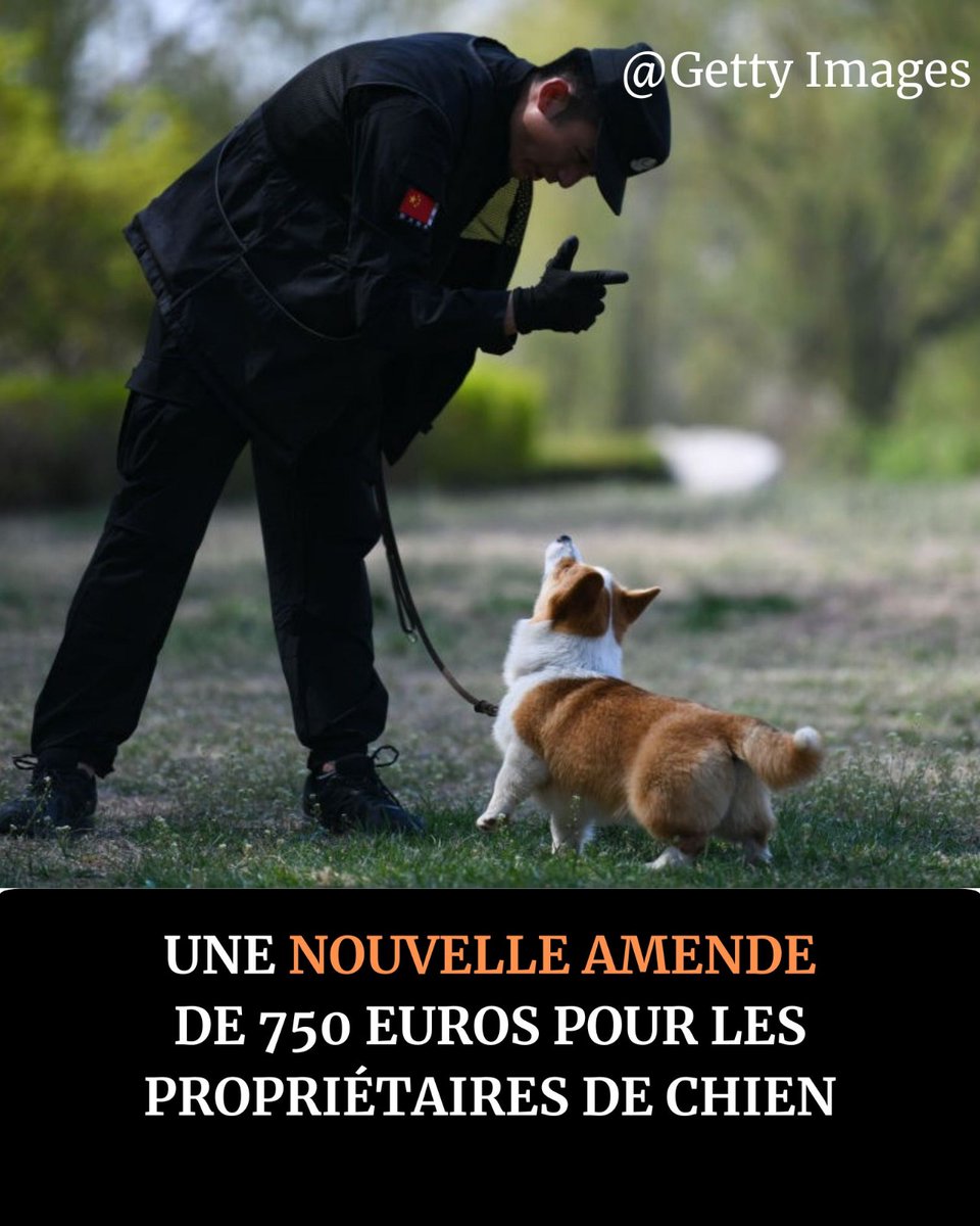 PsychoWeb tweet media