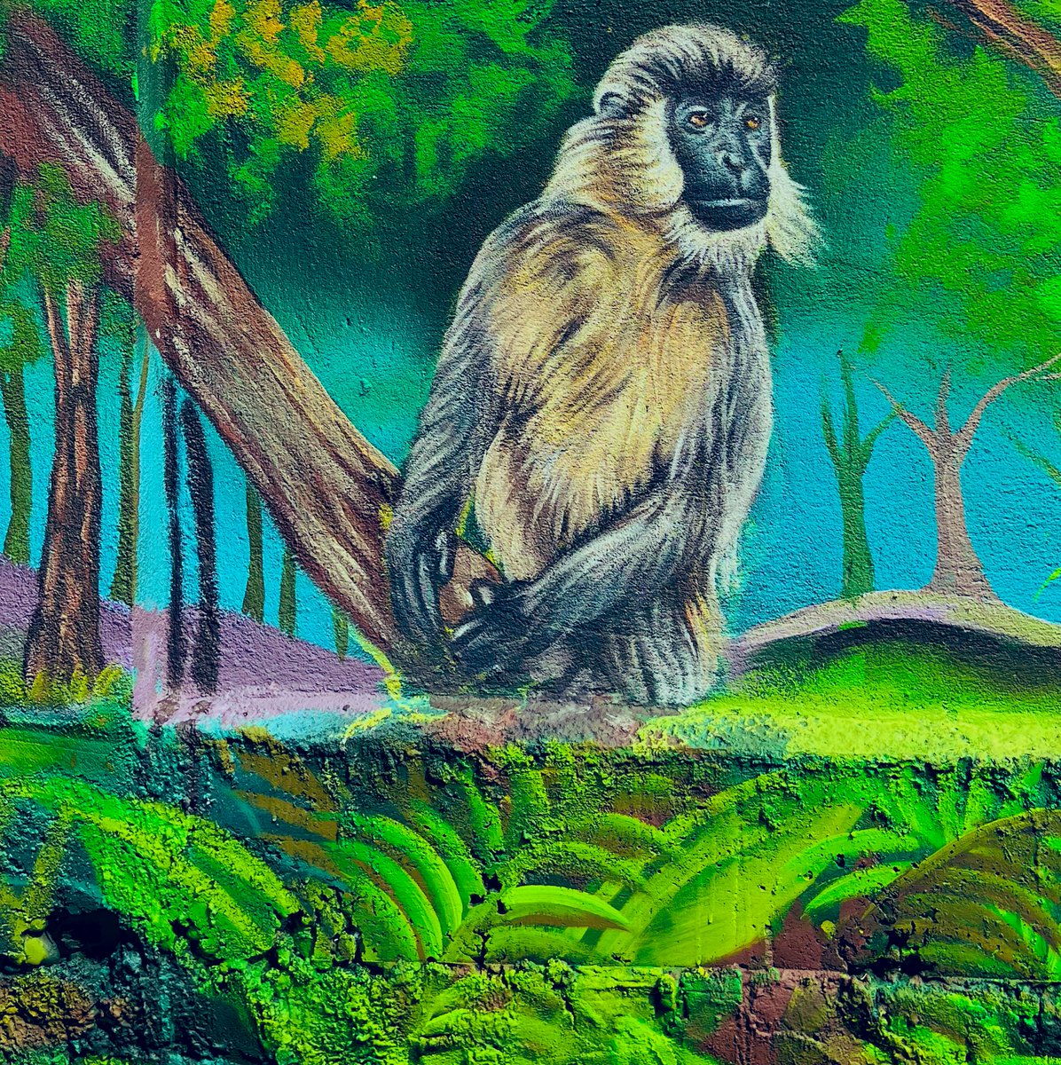 kalakar_studio's tweet photo. #cappedlangur @namerinptr @assamforest https://t.co/fxR5iJgV68