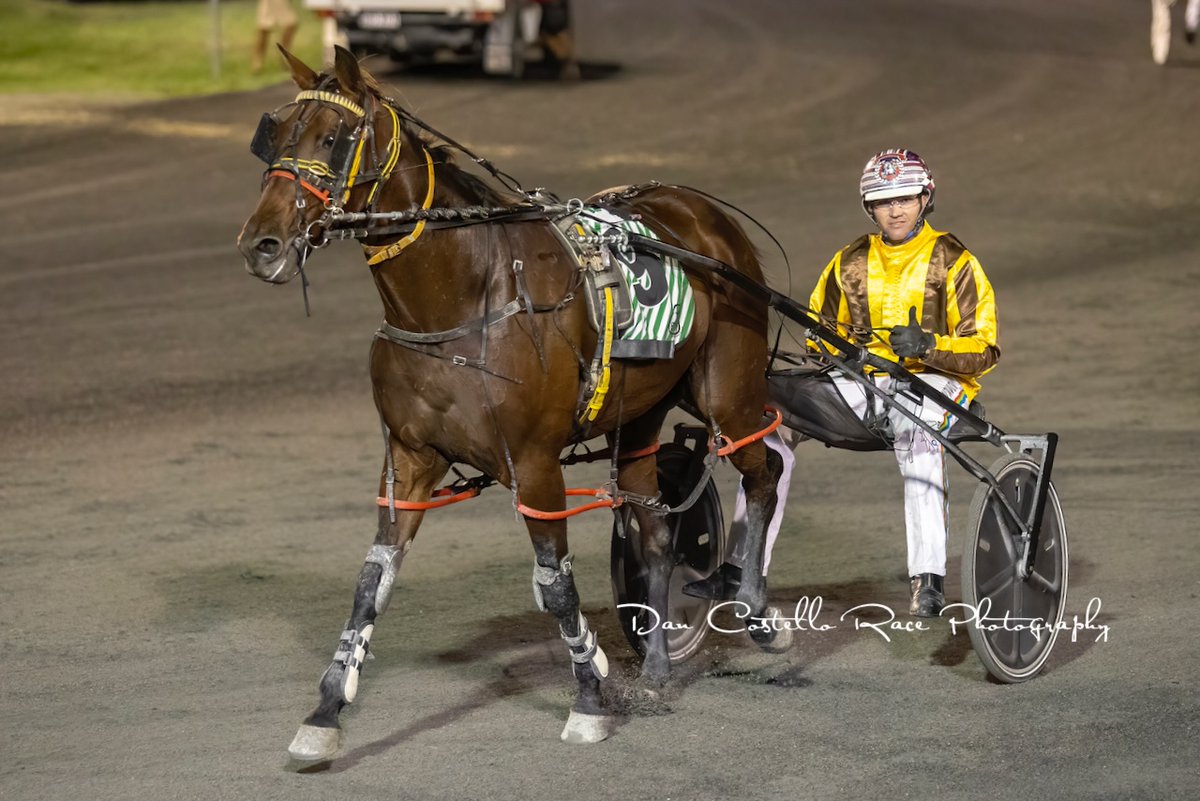Early double for Nathan Dawson with Our Dolly taking out race 3 <a href="/redcliffe_hrc/">Redcliffe Harness Racing Club</a> for trainer Warren Hinze