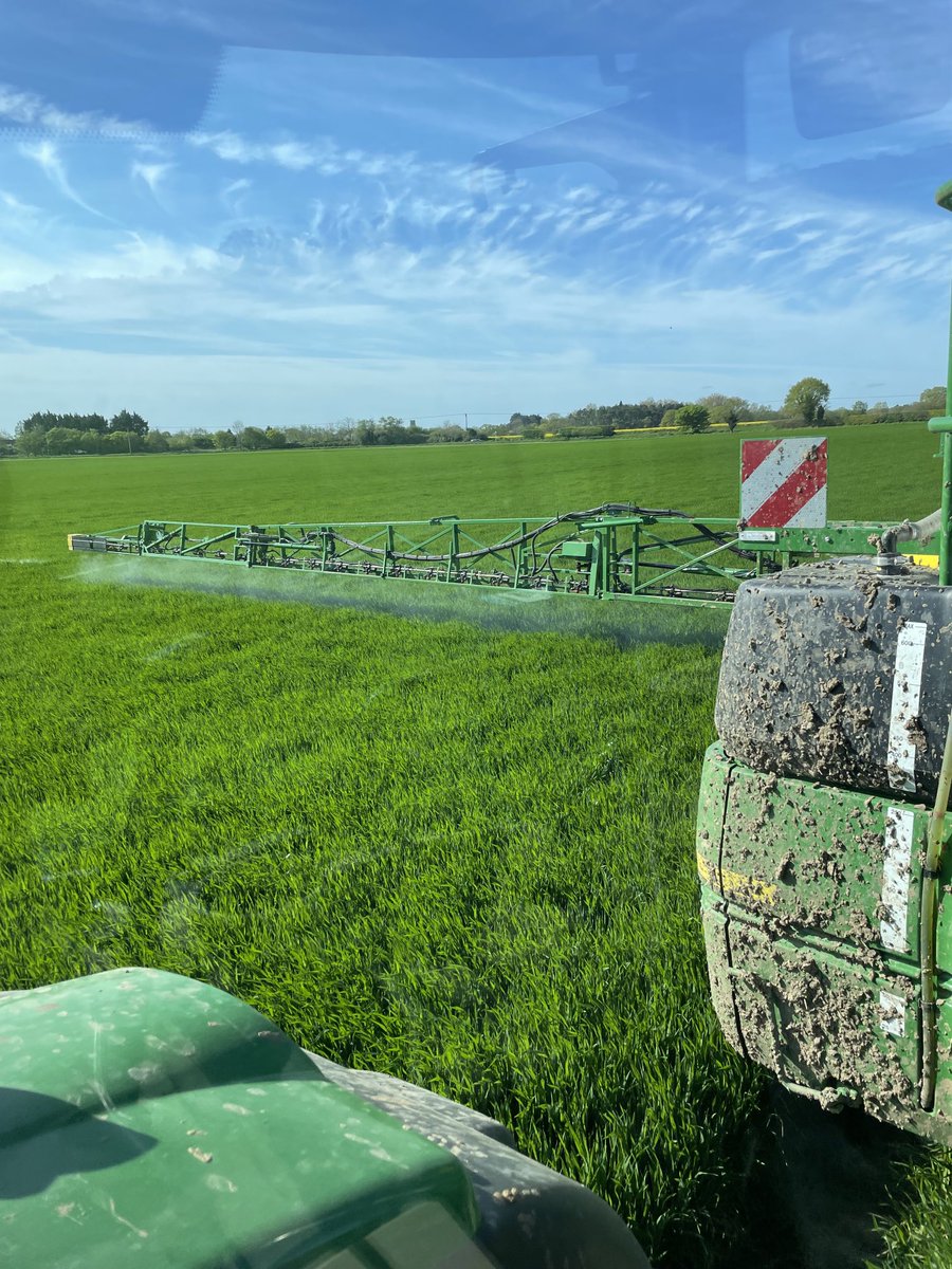 Henry Catling tweet media