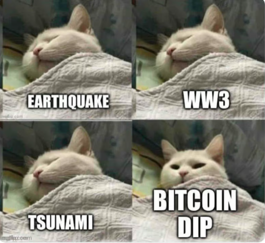 XSkylen's tweet photo. #Bitcoin dip https://t.co/p8AtcM019i