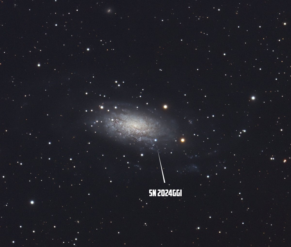 Supernova alert for the Southern Hemisphere astronomers. Fairly new and bright right now, will slowly fade away. Capture the death of a star for a limited time only! ⚰️ #ngc3621 (C11/QHY268M .. 1.5 hours on April 12)