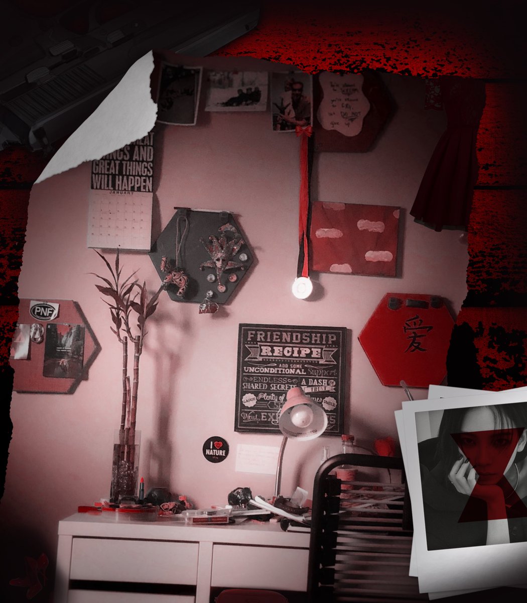 The Assassin Enigma: Conspiracy Undercover tweet media