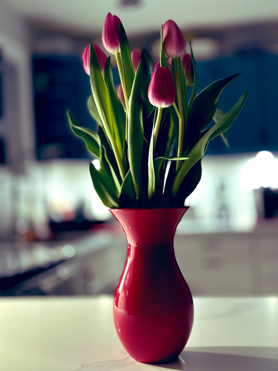 Spring is in the air 🌷🥰 ~ pic is mine ~