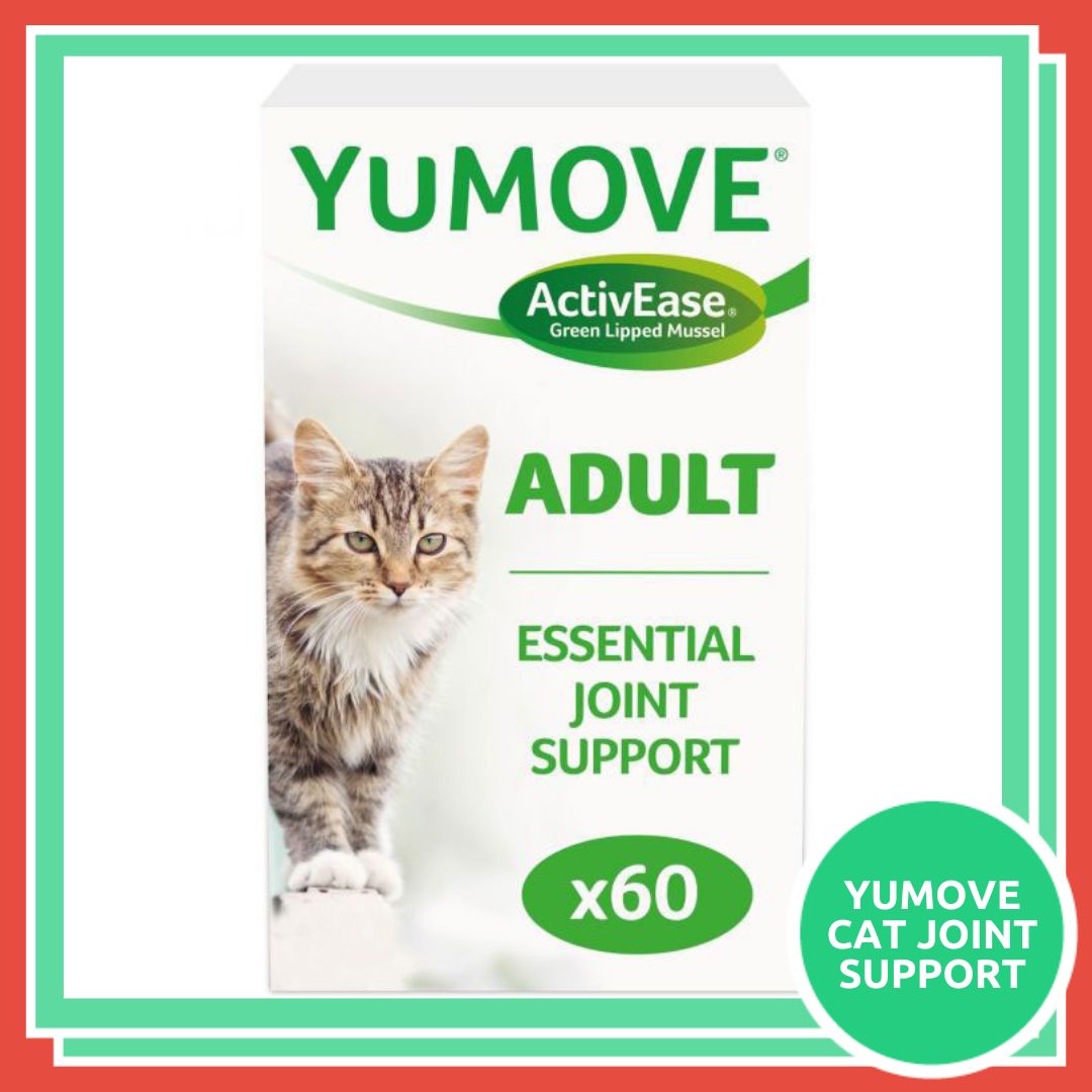 RookesPetProducts tweet media