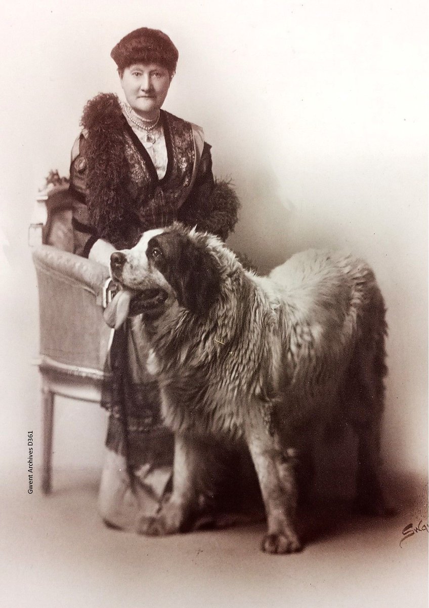 Georgiana Marcia Rolls, Lady Llangattock of the Hendre, posing with her dog. We’re not entirely sure what breed they are (possibly a St Bernard or Newfoundland), but they’re certainly big! #Archive30 #SomethingBig #ArchiveAnimals Ref: D361
