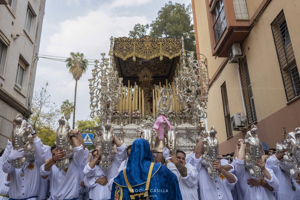Rocio_Casilla's tweet photo. Domingo 💙

@HPrendimiento @ArcaCapuchinera https://t.co/R3vrUckMsO