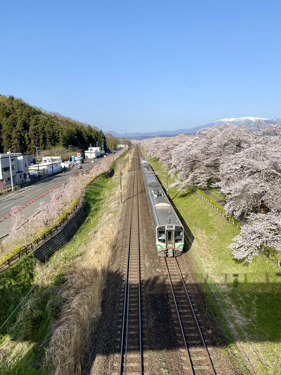 tabimasa's tweet photo. 船岡城址の桜＆一目千本桜を見に行ってきました。
とても素晴らしかったです。。。
#一目千本桜　#んだんだずんだ https://t.co/7zwueurBIG